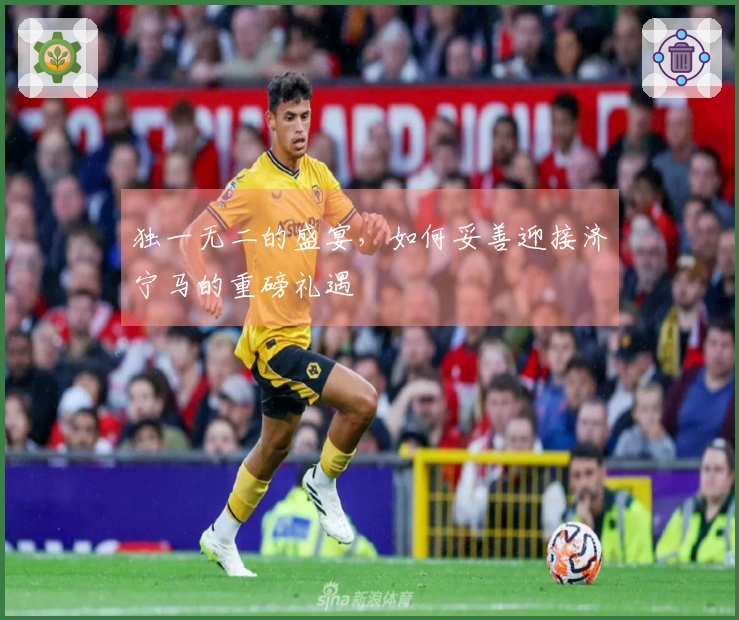 独一无二的盛宴，如何妥善迎接济宁马的重磅礼遇