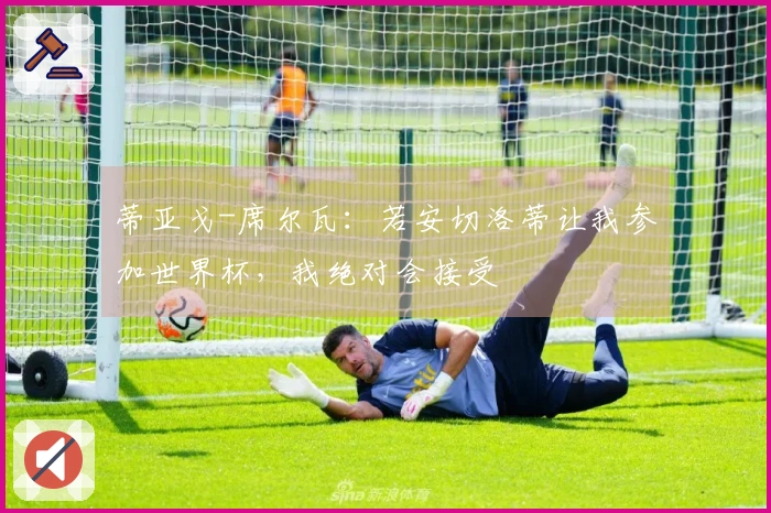 蒂亚戈-席尔瓦：若安切洛蒂让我参加世界杯，我绝对会接受