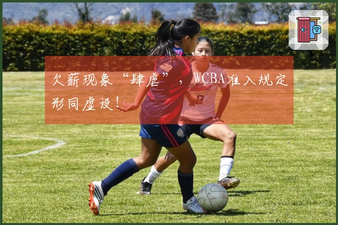 欠薪现象“肆虐”，WCBA准入规定形同虚设！