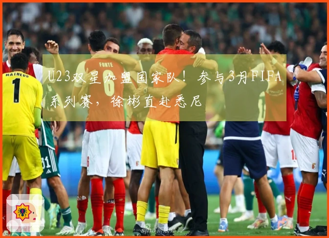 U23双星加盟国家队！参与3月FIFA系列赛，徐彬直赴悉尼